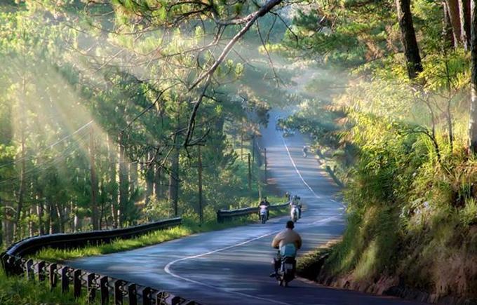 Đường lên Đà Lạt có những đoạn đẹp như tranh vẽ. Ảnh: caonguyendatravel.com.