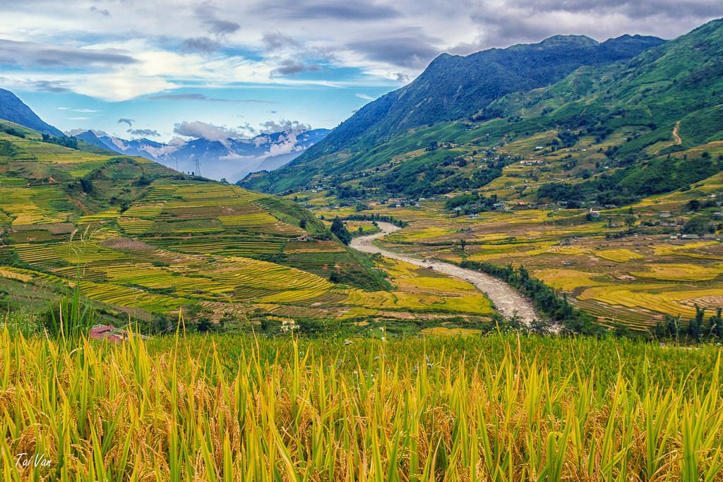 Thung lũng Mường Hoa: Nằm cách thị trấn SaPa 10km về phía Đông Nam, Mường Hoa là điểm đến hấp dẫn thu hút những bước chân lãng du đến với miền sơn cước. Thật không mấy khó khăn để nhận ra Mường Hoa, vượt qua một con đèo men theo dãy núi, du khách sẽ bị “hút hồn” ngay bởi nét hữu tình của cảnh đất trời hội tụ tại đây. Ảnh: Black Baron93