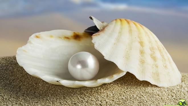 9. Bảo tàng Cội Nguồn là bảo tàng tư nhân thứ 9 ở Việt Nam. Nơi đây lưu giữ hơn 3.000 cổ vật, trong đó có 300 bộ thư mục quý về Phú Quốc cùng các mẫu vật gắn với đời sống người dân trên đảo. Bảo tàng nằm trên đường Trần Hưng Đạo, thị trấn Dương Đông. Ảnh: 7-pearls.