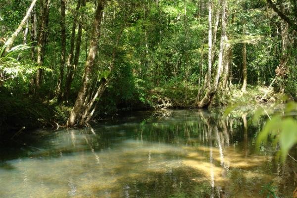 Vườn quốc gia Bidoup Núi Bà, cách thành phố Đà Lạt 50 km theo tỉnh lộ 723. Ảnh: kiemlam.daknong.gov.vn