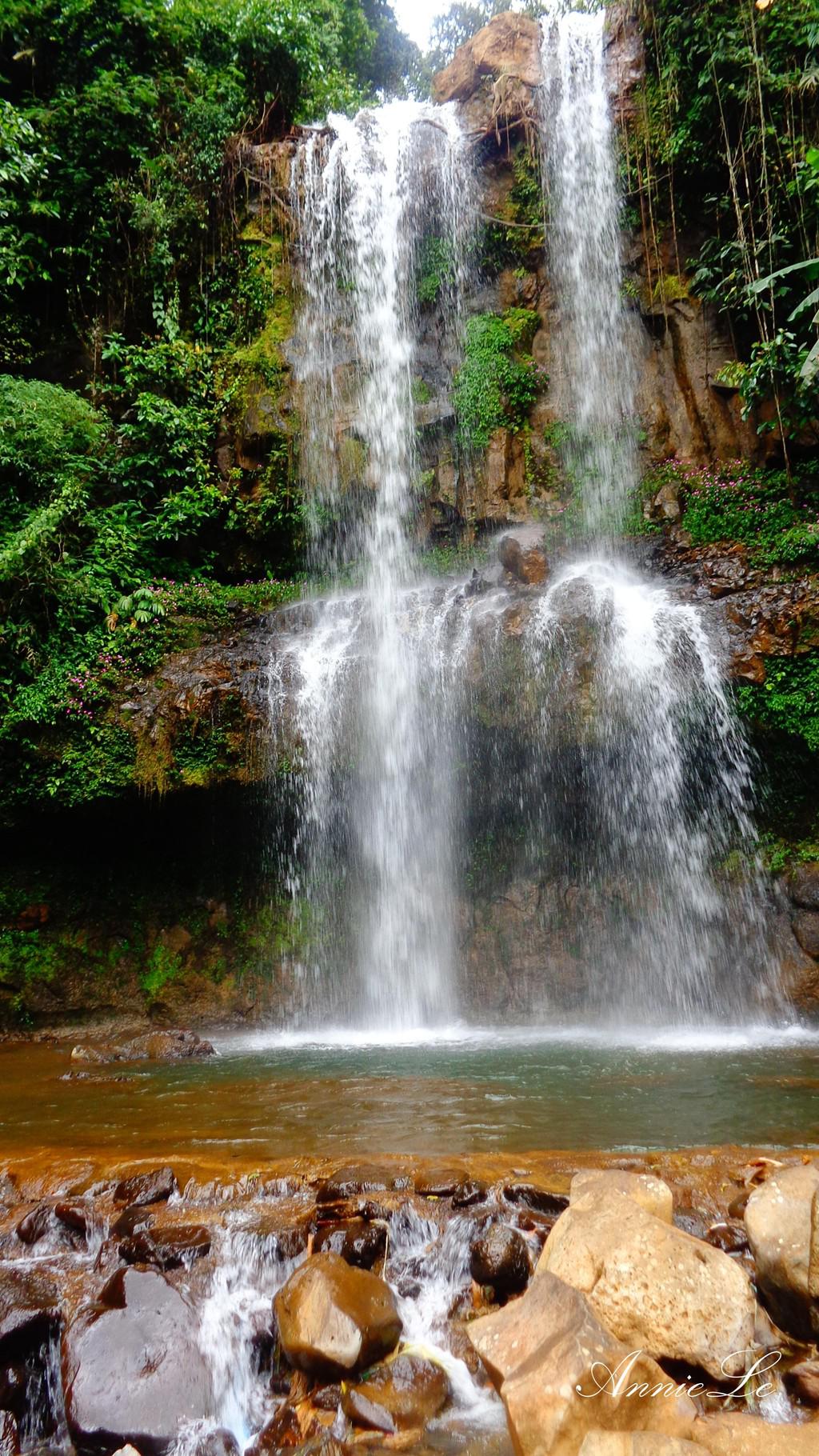 Cách Dam B’ri 500 m, cũng nằm trong khuôn viên khu du lịch, tuy không hùng vĩ bằng, thác Dasara lại mang vẻ đẹp nhẹ nhàng trong trẻo, thanh khiết như chính chốn núi rừng hoang sơ nơi đây.