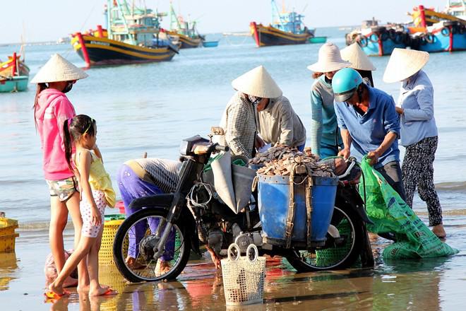 Thu mua hải sản ngay tại chỗ. Ảnh: Zen Nguyễn