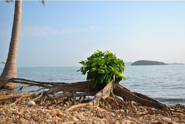 Không gian bình yên trên đảo. Ảnh: Phuot.vn