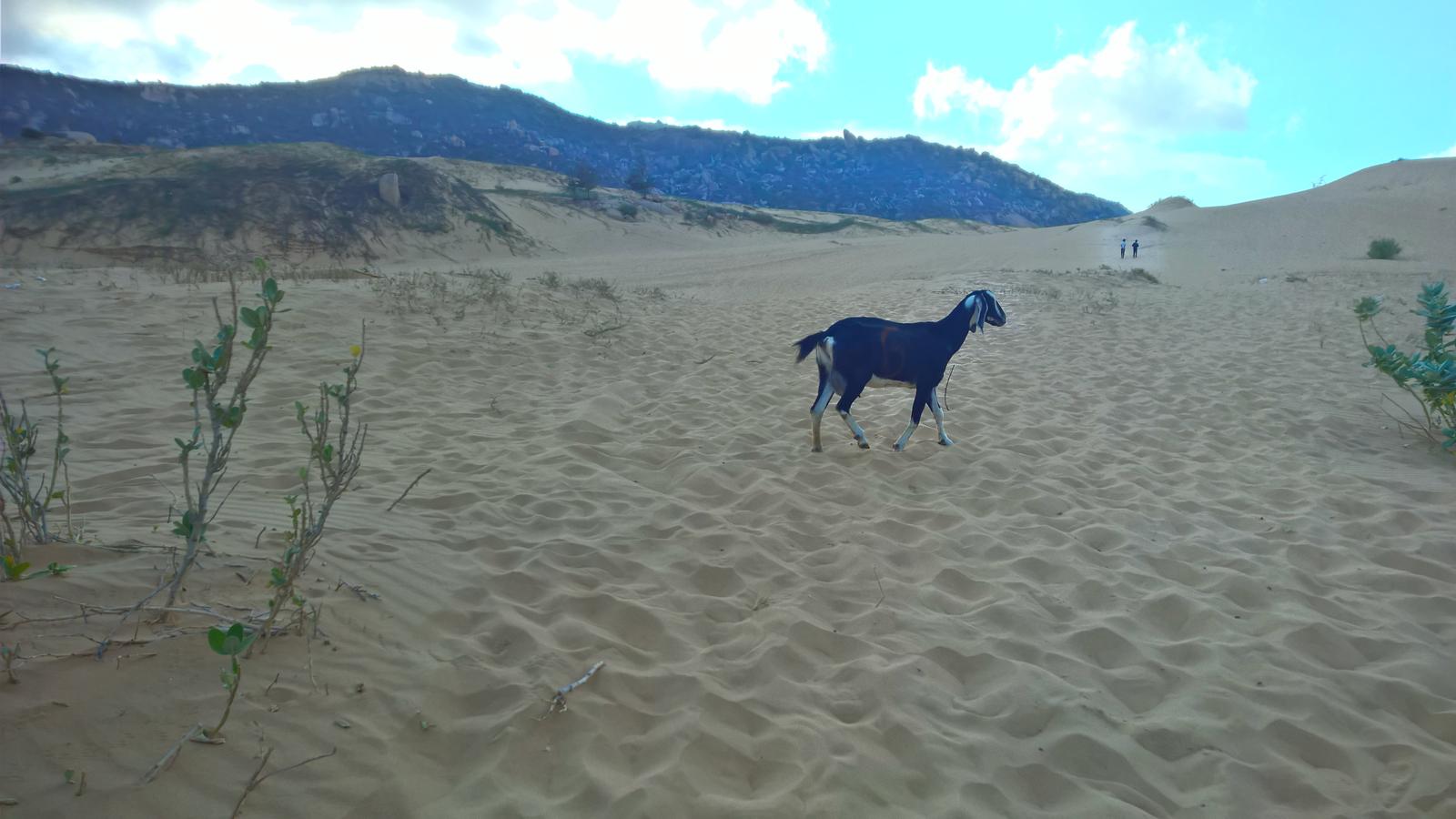 Rời mũi Dinh về lại Phan Rang. Ảnh: Tiểu Duy