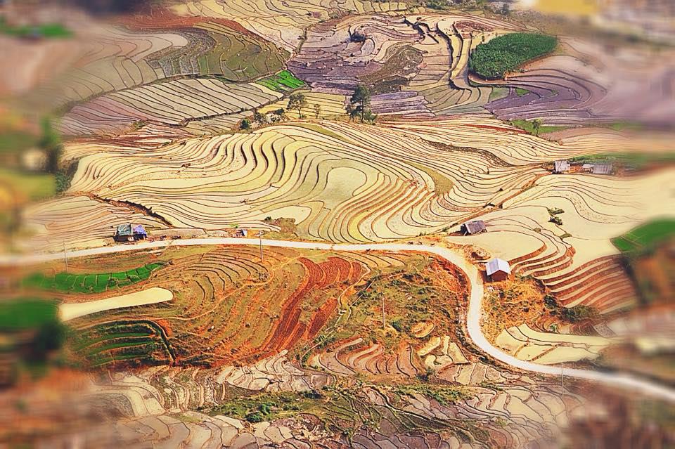 Mùa nước đổ trên ruộng bậc thang Y Tý. Ảnh: Mèo Già