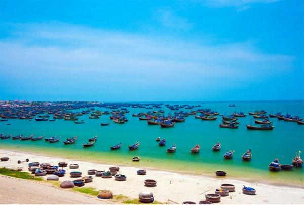 Đến làng chài bạn có thể thử rất nhiều loại hải sản tươi sống với giá rẻ hơn ở chợ hoặc các nhà hàng, quán ăn.