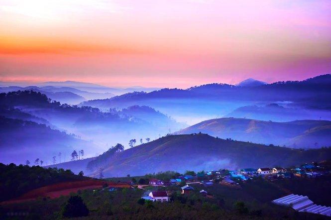 Ban mai hồng ở Trại Mát với biển mây ẩn hiện. Ảnh: Cao Cát