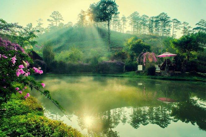 Soi bóng bình minh ở Ma Rừng lữ quán. Ảnh: Cao Cát