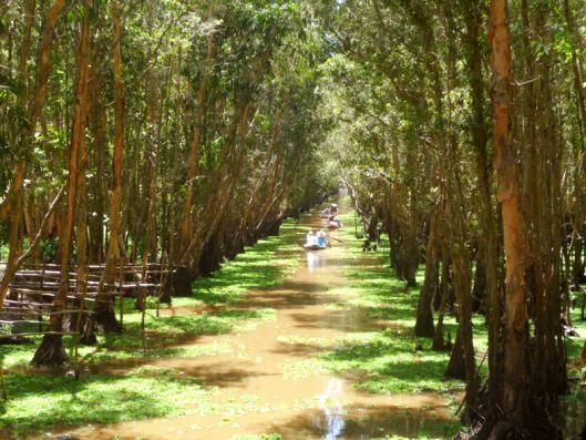 Hai bên đường, những cây thốt nốt xõa bóng che đầu