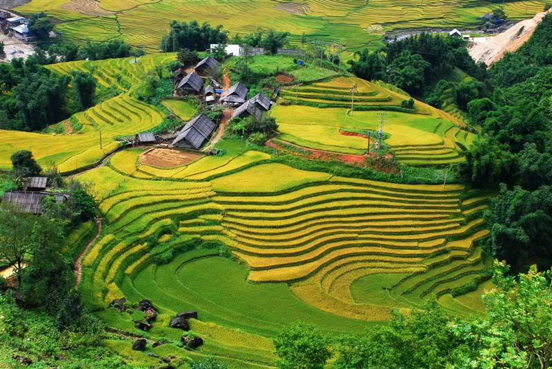 Sapa là một điểm du lịch nổi tiếng nằm ở vùng núi Tây Bắc của Việt Nam. Ảnh: Lifehack
