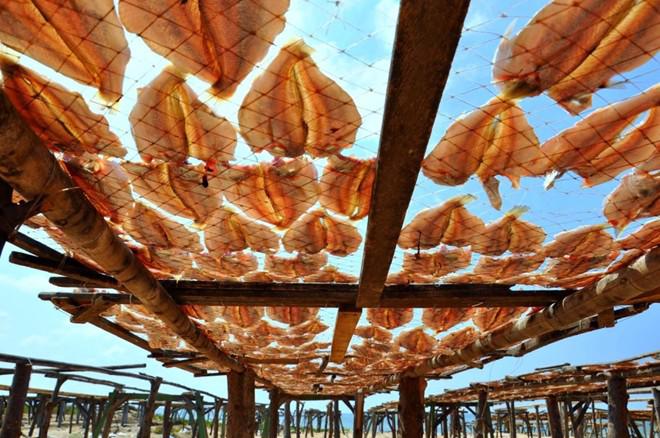 Phước Hải hội tụ nét duyên của bãi biển đẹp, hoang sơ và thơ mộng. Đến đây, ngoài tắm biển, bạn còn có thể tự tay chọn hải sản từ tàu đánh cá cập bờ mỗi sáng, mỗi chiều. Ảnh: Hivietnam.