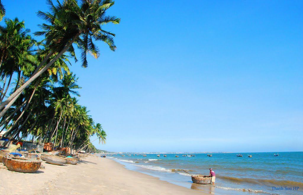 Rặng dừa nghiêng mình bên bãi Rạng. Ảnh: Thanh Sơn HP
