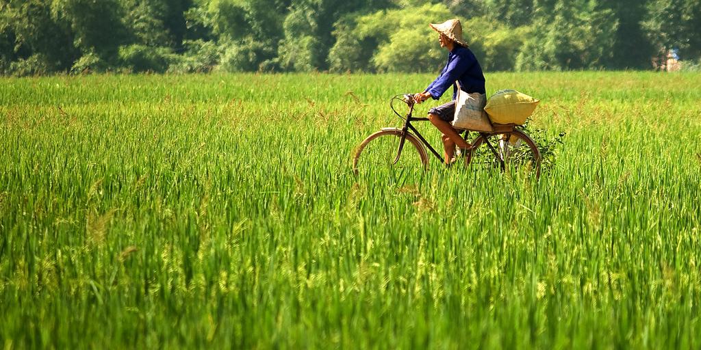 Khung cảnh bình yên của Mai Châu. Ảnh: Jon Sanwell