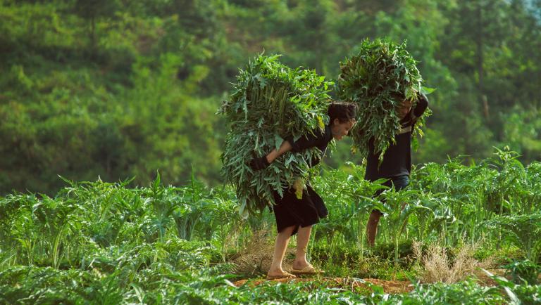 Du khách sẽ khó lòng rời mắt khỏi cảnh đẹp khó gọi tên ở nơi đây. Ảnh: Buffalotours.com