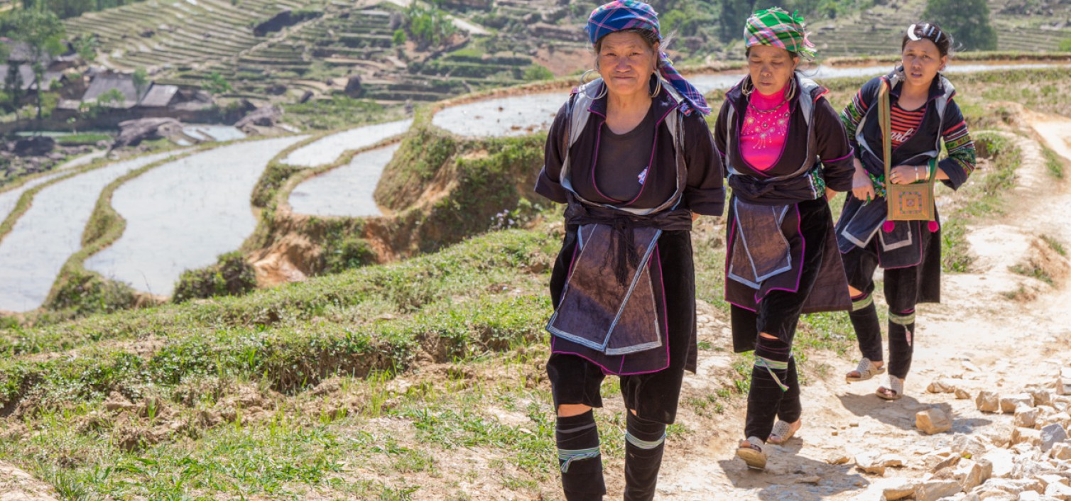 Những thửa ruộng bậc thang đẹp mắt dọc hai bên lối đi. Ảnh: Buffalotours.com