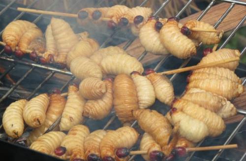 Vị béo ngậy, thơm nức của đuông nướng quyện cùng vị chua chát mặn ngọt của nước chấm và rau tươi ăn rất "đã" miệng. Ảnh: Nhà hàng Phương Nam.