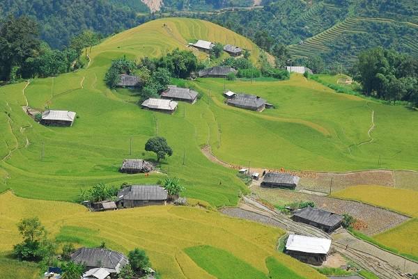 Hà Giang mùa lúa chín: Những cánh đồng bậc thang khiến cả thế giới kinh ngạc đã và đang khoác lên màu vàng óng ả cùng hương lúa chín ngọt dịu. Đến đây, ngoài khám phá cao nguyên đá, thưởng thức hải sản, bạn còn có thể gặt lúa cùng người dân để được hòa vào không khí nhộn nhịp mùa gặt. Ảnh: Lê Mạnh/ Báo Lao Động.