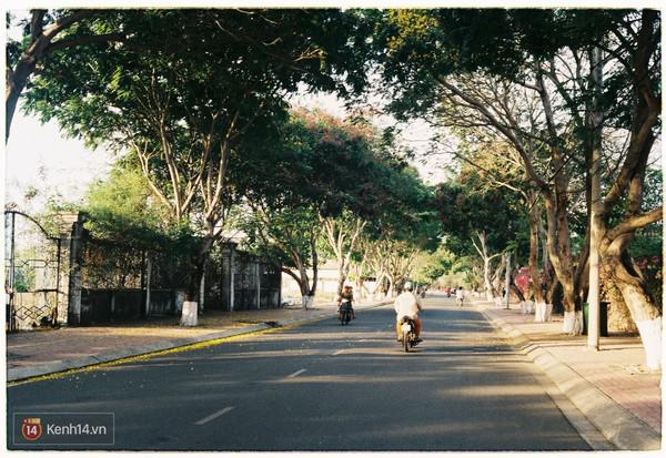 Con đường dẫn vào thị trấn. Ảnh: Kenh14