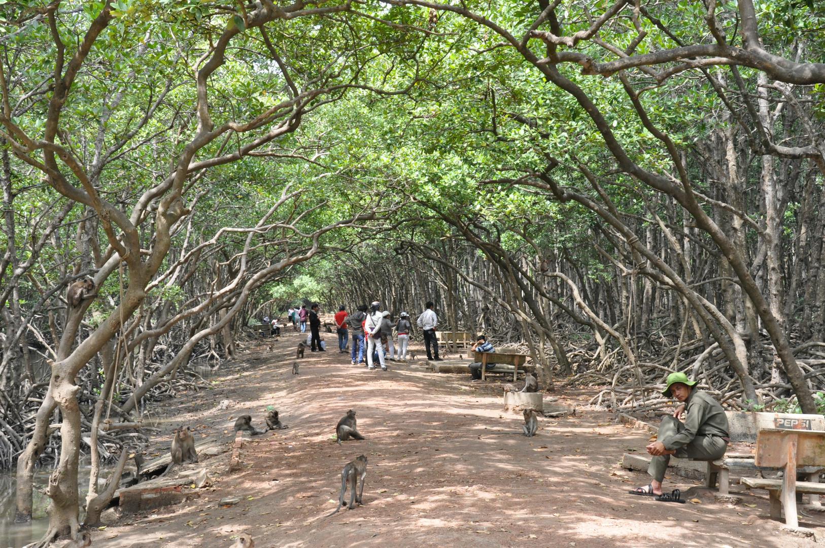 Du khách tham quan đảo Khỉ. Ảnh: mattroiviettravel