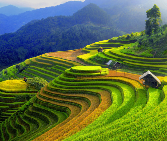 Sắc màu ruộng bậc thang đẹp mê hoặc ở vùng núi phía bắc