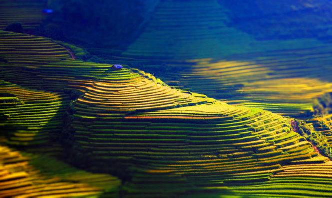 Bức ảnh được tác giả mô tả là “một công trình nghệ thuật” - Ảnh: Huyền Thương/Boredpanda