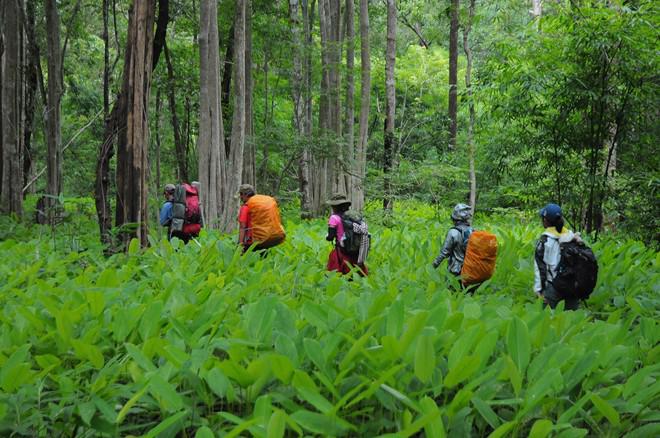 Đây là cung đường lý tưởng dành cho những ai đam mê trekking, muốn tìm chốn bình yên, hòa mình với thiên nhiên.