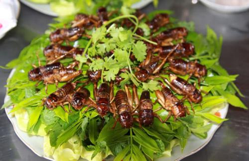 Món dế rang thơm ngon và béo ngậy.