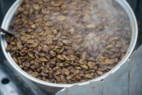 Nhộng tằm sau khi bị luộc để lấy sợi từ kén thì đem chế biến thành một món ăn.