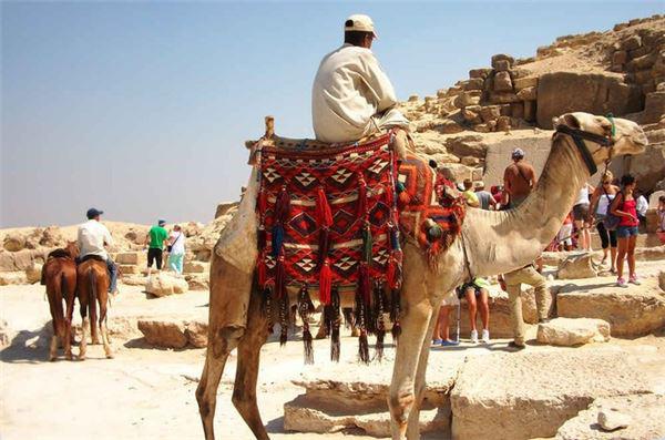 Các kim tự tháp của Cairo, Ai Cập: Là điểm du lịch bậc nhất thế giới và Ai Cập, các kim tự tháp ở Cairo lúc nào cũng đông đúc và rác xả bừa bãi, trong khi người dân địa phương lại không ngừng bám theo du khách. Do đó, thay vì đến đây, bạn có thể chọn Marrakech, Fes và Meknes ở Morocco. Không chỉ cảm nhận được khung cảnh nhộn nhịp khi đi bộ qua khu chợ Hồi giáo, du khách còn có thể ngắm nhìn phong cảnh tuyệt đẹp khi nơi đây nằm bên bờ cả Đại Tây Dương và Địa Trung Hải, gần sa mạc Sahara và dãy núi Atlas.