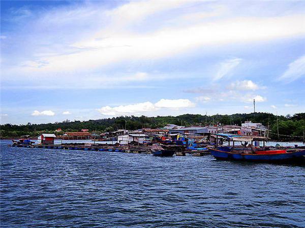 Những bè nuôi hải sản ở Long Sơn. (Ảnh: Internet)