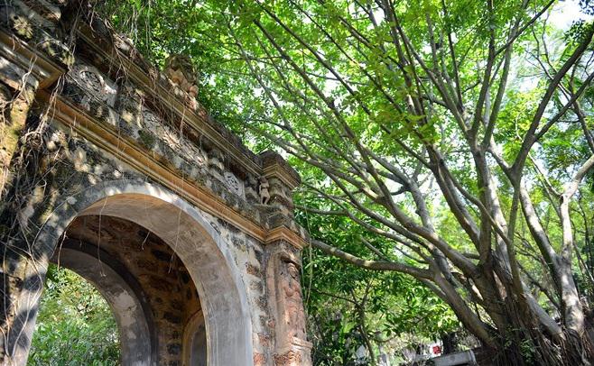 Nhiều cây cổ thụ lớn và các kiến trúc cổng Chăm rêu phong quen thuộc của làng quê Tây Nam Bộ.