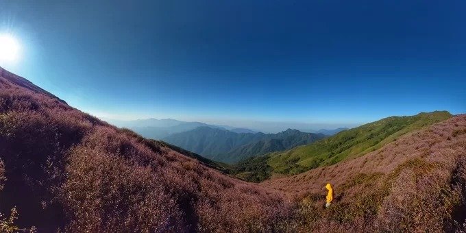 Tà Chì Nhù thuộc huyện Trạm Tấu cao 2.979m được ví như "đại dương trên mây" vì nổi tiếng với biển mây ở lưng chừng trời. Đây là cung trekking mơ ước của dân phượt bởi cảnh đẹp, nhất là độ từ cuối tháng 10 đến tháng 11, khi vào mùa hoa chi pâu màu tím, phủ đầy cả một vùng.