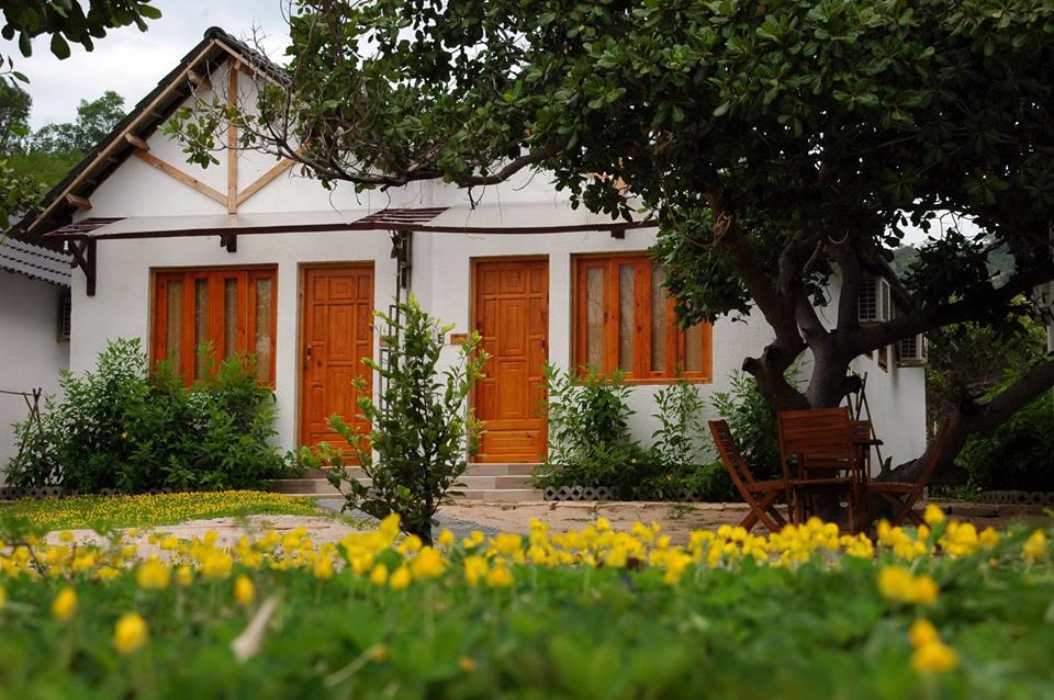 Villa Đảo Hoa Vàng. Ảnh: Cocotravel