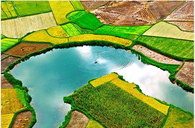Đây cũng là kho tài sản phản ánh thiên nhiên tươi đẹp, nhằm đem đến cho người xem về đất nước, con người Việt Nam cần cù, hiếu khách. Trong hình là tác phẩm "Một góc Bắc Sơn" của tác giả Trần Quang Quý.