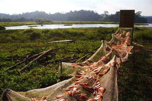 Nam Cát Tiên luôn có những ngày nắng đẹp, sẵn sàng chào đón du khách từ bốn phương đổ về tìm sự bình yên. (Nguồn: Internet)