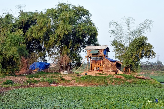 Cầu Mai Lĩnh (Hà Đông), nằm trên quốc lộ 6, là cây cầu nối liền con đường từ thủ đô Hà Nội đến các tỉnh Hòa Bình, Điện Biên, Lai Châu. Đây dường như là một điểm dừng chân bình yên với khung cảnh nông thôn bình dị và dân dã.