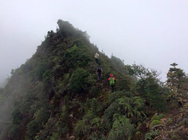 Sống khủng long Tà Xùa.