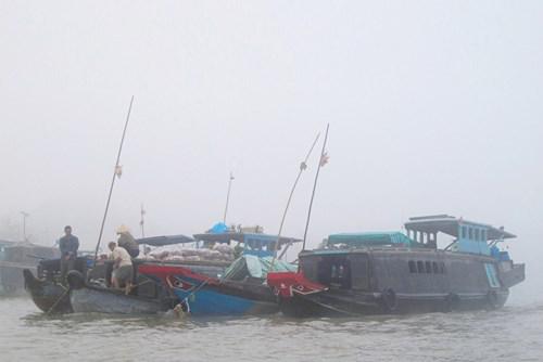 Chợ nổi Cái Răng bắt đầu từ lúc trời còn mờ sương