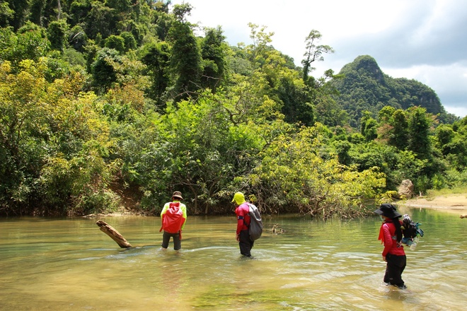 Hệ thống hang Tú Làn nằm cách Vườn Quốc Gia Phong Nha - Kẻ Bàng 70 km, bên cạnh làng dân tộc thiểu số Tân Hóa. Tú Làn bao gồm hơn 10 hang động lớn nhỏ, một số đã được phát hiện và khai thác vào năm 1992, số còn lại được tìm thấy vài năm gần đây. Đoàn khách làm ở một công ty quỹ đầu tư đã chọn nơi đây để đi nghỉ thay vì những resort bên bờ biển.