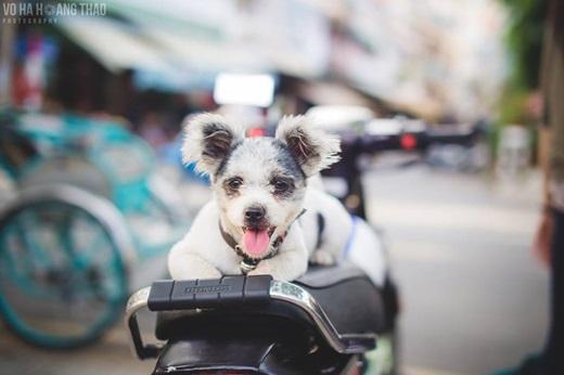 Cuộc sống của người Biên Hòa đa màu đa sắc lắm. (Ảnh: Võ Hà Thảo)