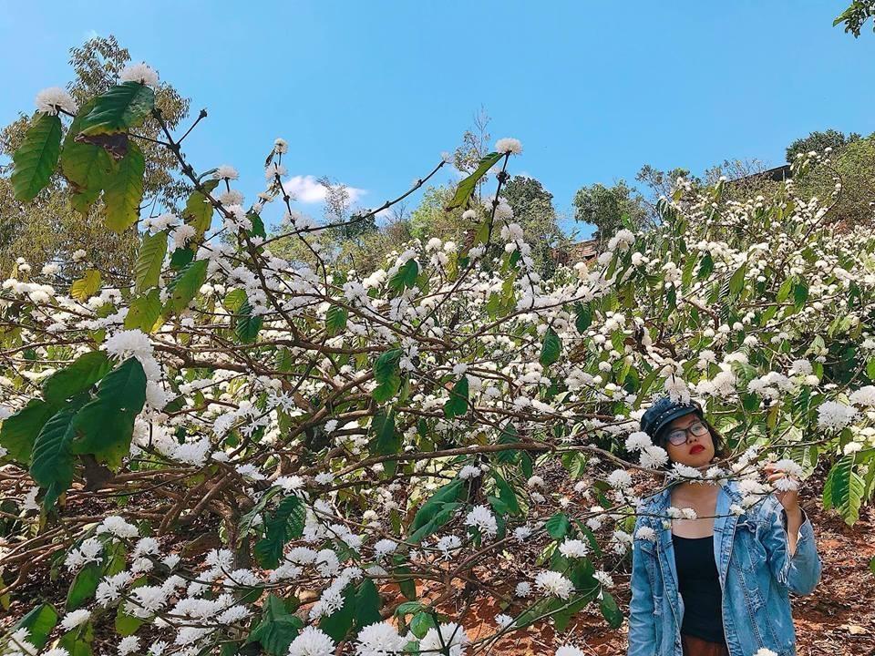 Ảnh: sưu tầm