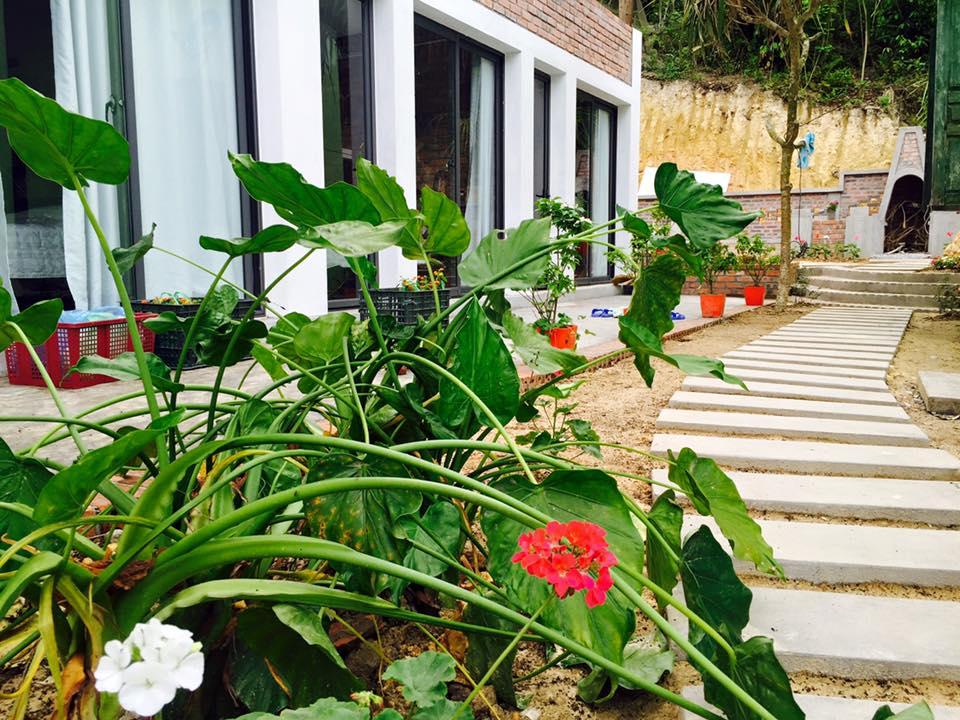 Ảnh: Coto Eco Lodge