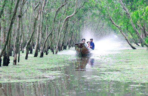 Đường vào rừng Trà Sư - một trong những nơi thú vị ở miền Tây. Ảnh: Nam Phạm.