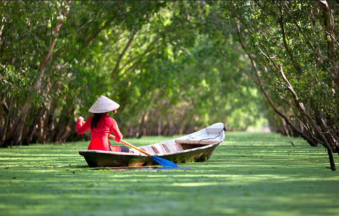 Không gian xanh mát của rừng tràm Trà Sư. Ảnh: jump_photos/flickr.com