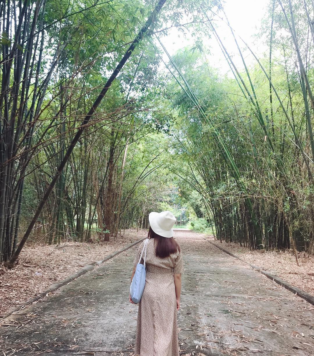 Ảnh: thaonguyen1204