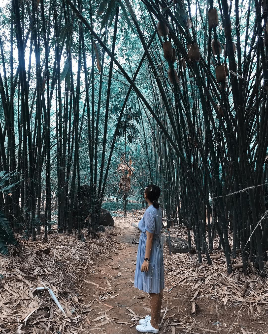 Ảnh: menphamm