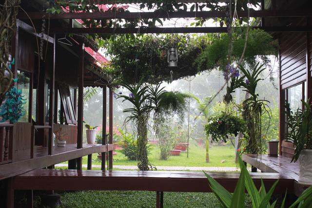 Nghỉ qua đêm tại chùa, bạn sẽ có thêm thời gian tận hưởng không khí yên tĩnh nơi đây.