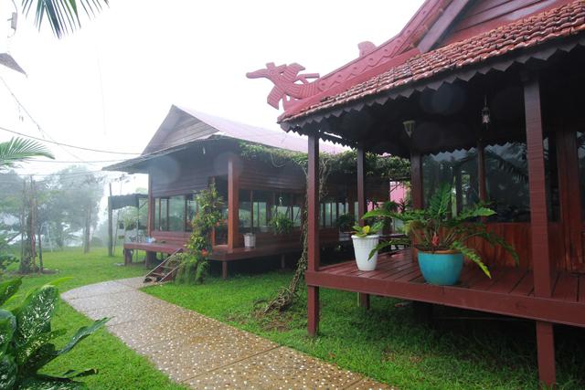 Xung quanh khuôn viên chùa là những nương chè thẳng tấp, ẩn hiện trong màn sương. Một nơi chốn bình yên, thanh tĩnh.