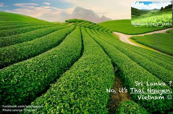 Sri Lanka đây đúng không? Thái Nguyên đấy!