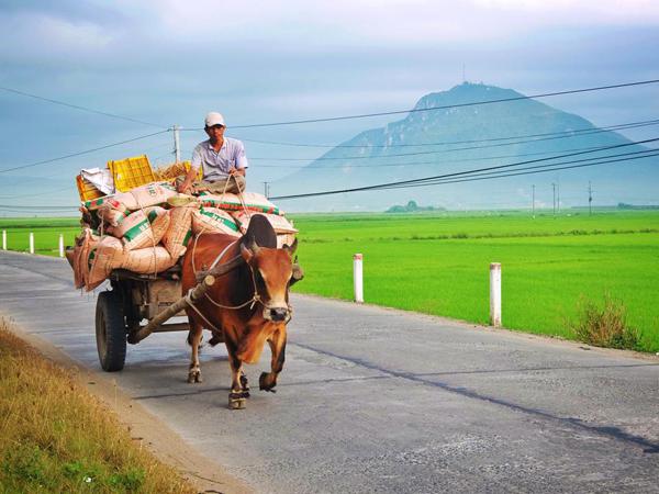 Khung cảnh bình yên, hiền hòa của đất và người Phú Yên. Ảnh: Thiện Nguyễn